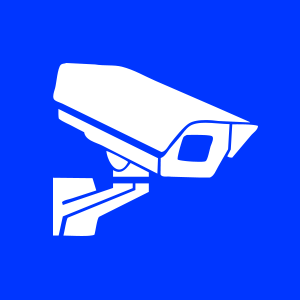 Online IP Cameras
